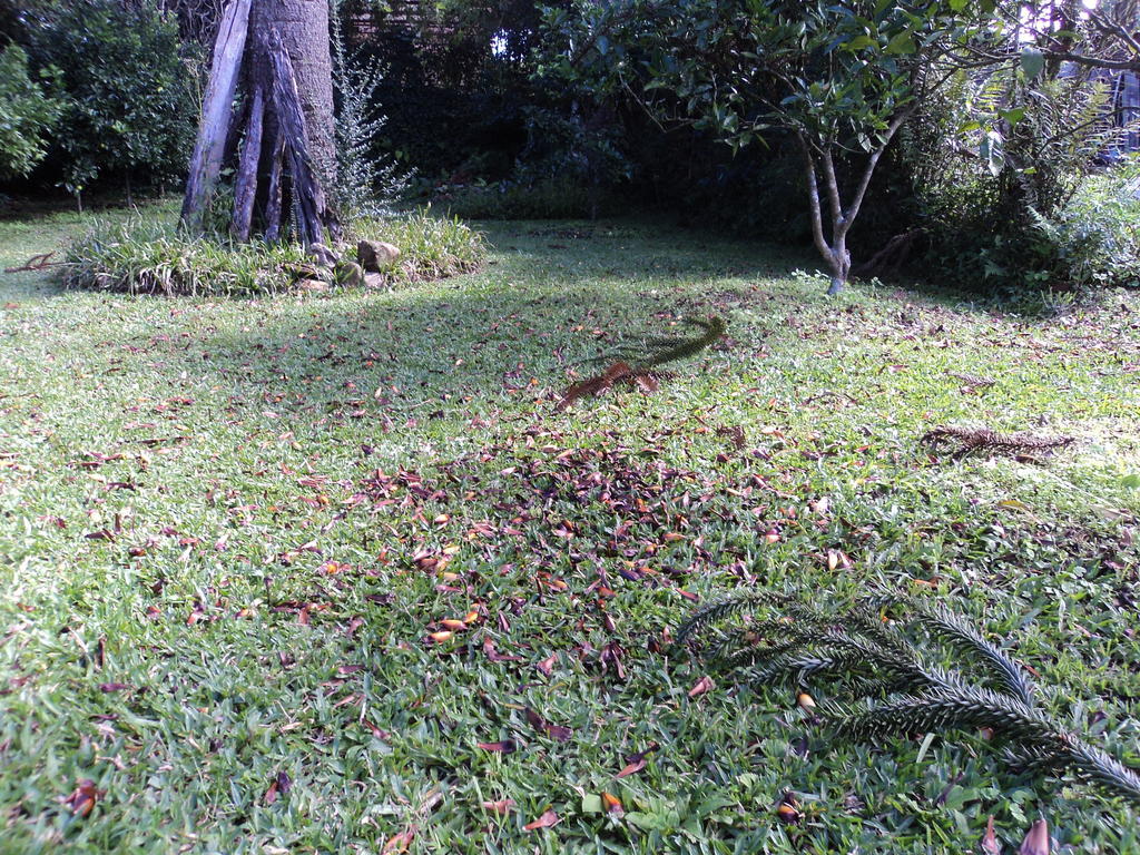 Pousada O Canto Do Sabia Canela Esterno foto